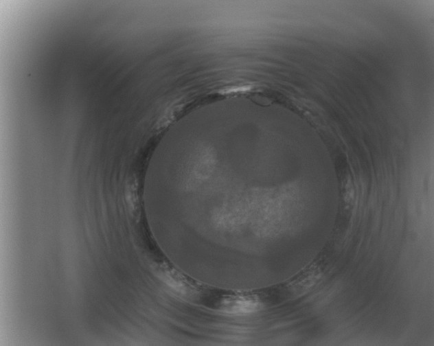 X0000062830559200601171422