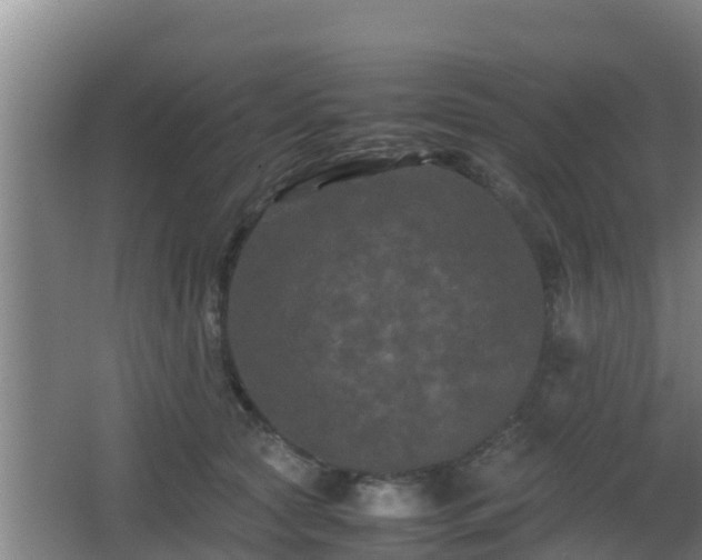 X0000062830561200601171422