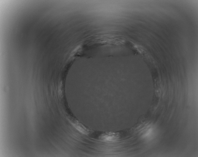 X0000062830563200601171422