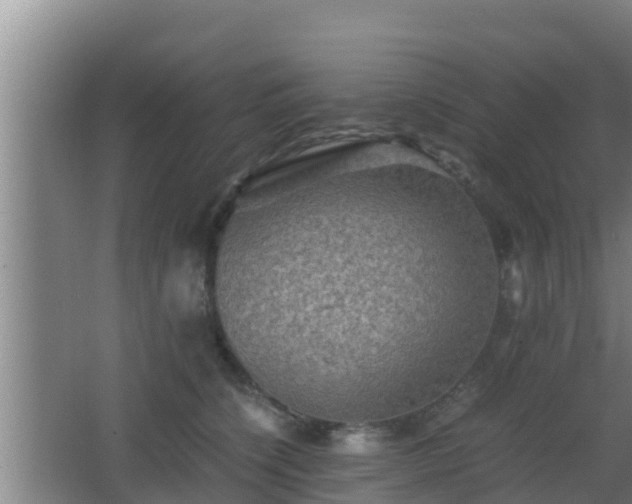 X0000062830564200601171422