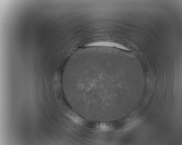 X0000062830565200601171422