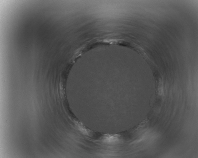 X0000062830569200601171422