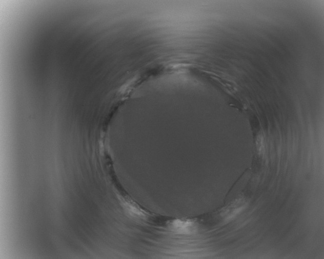 X0000062830570200601171422