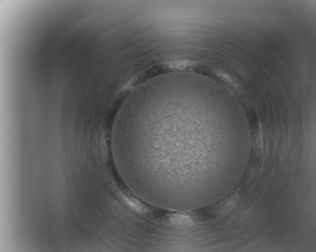 X0000062830572200601171422