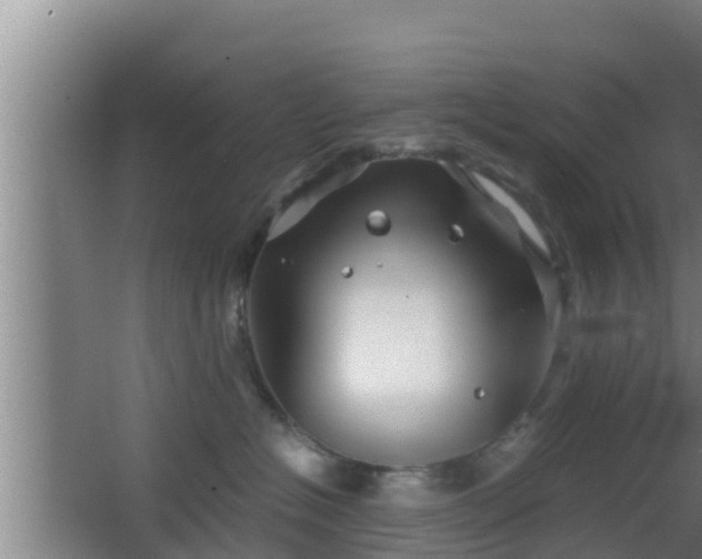 X0000062830574200601171422