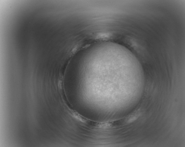 X0000062830576200601171422