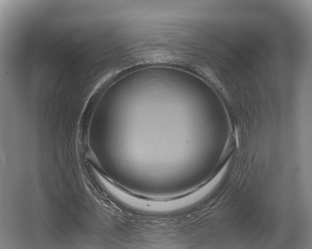 X0000062830579200601171422