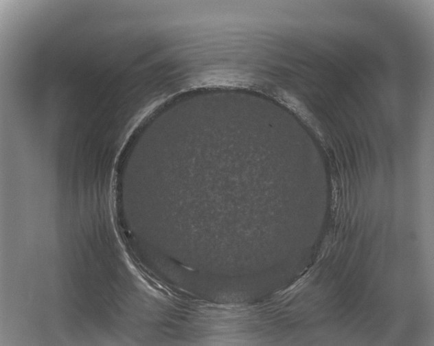 X0000062830580200601171422