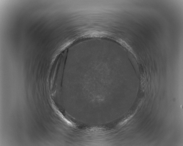 X0000062830581200601171422