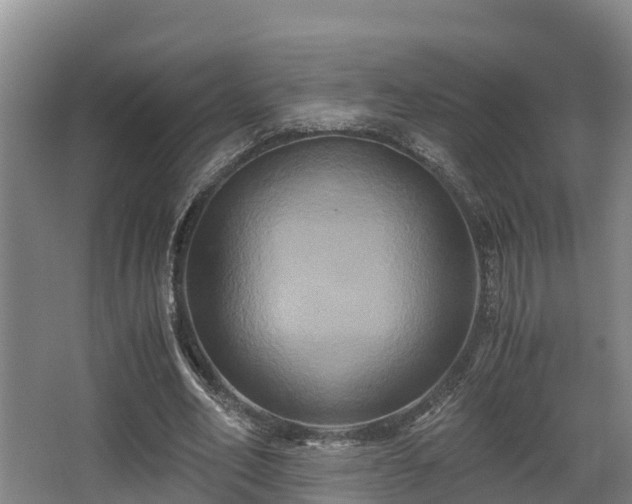 X0000062830582200601171422