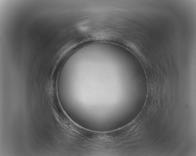 X0000062830583200601171422