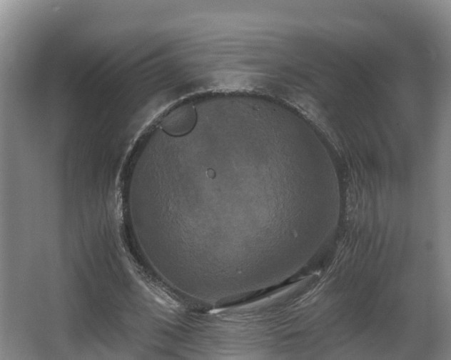 X0000062830584200601171422