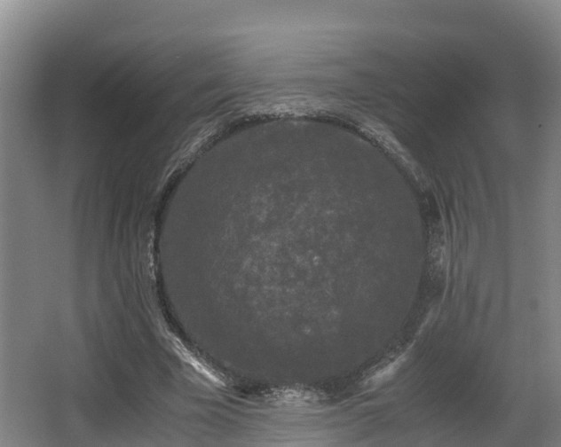 X0000062830585200601171421