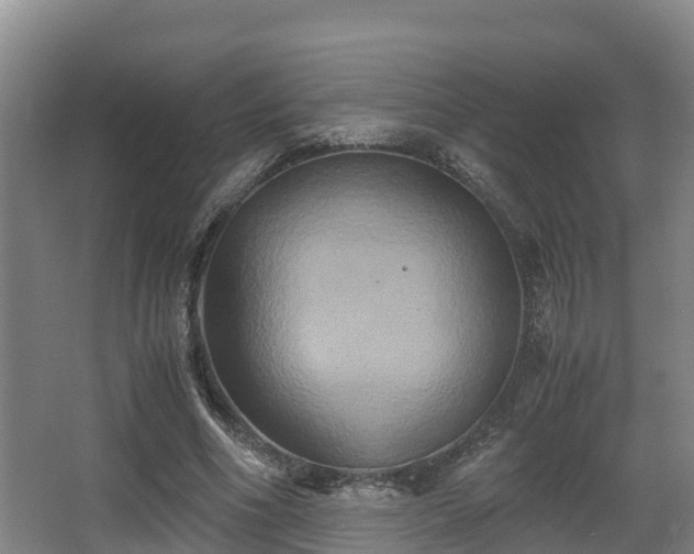 X0000062830586200601171421