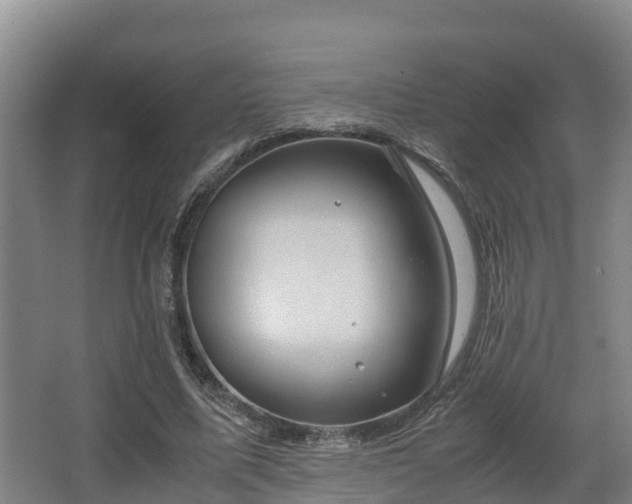 X0000062830587200601171421