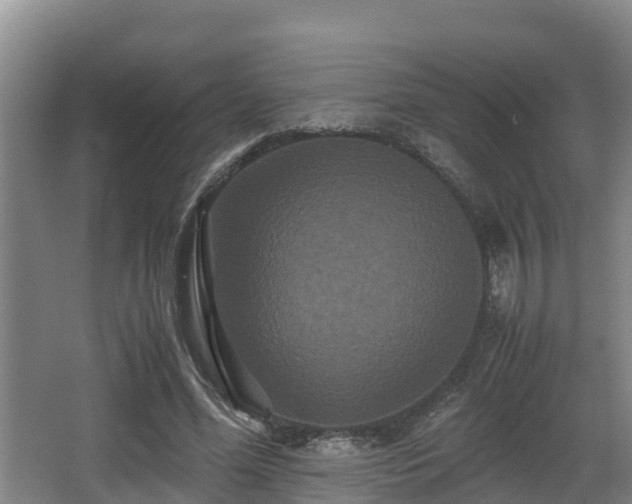 X0000062830588200601171421