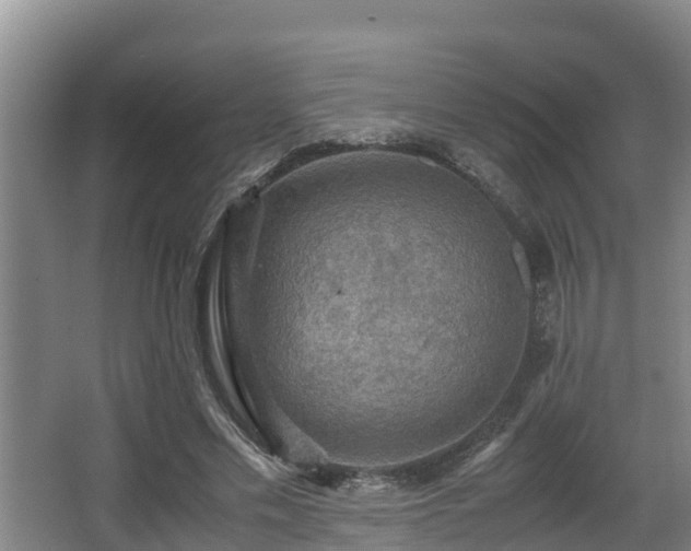 X0000062830589200601171421