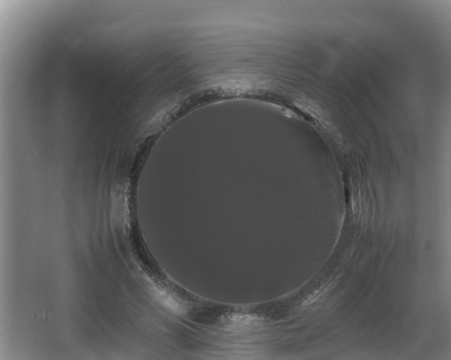 X0000062830590200601171421