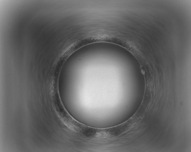 X0000062830591200601171421