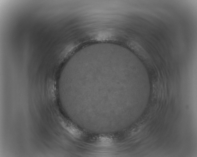 X0000062830592200601171421