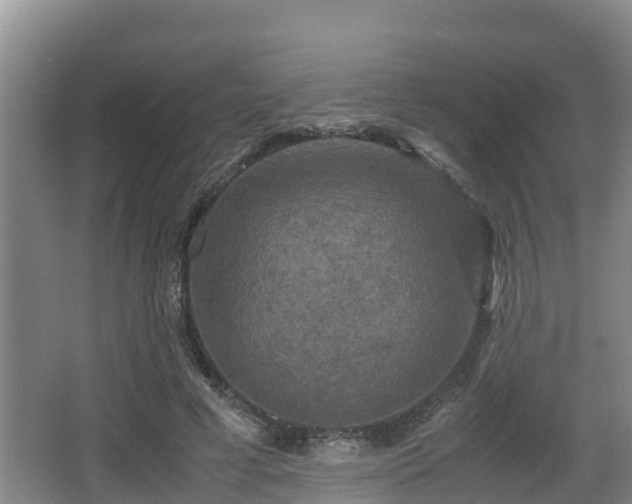 X0000062830593200601171421