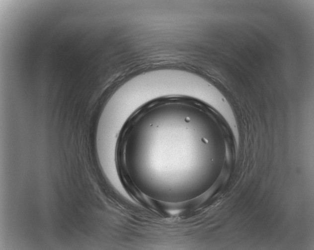 X0000062830595200601171421