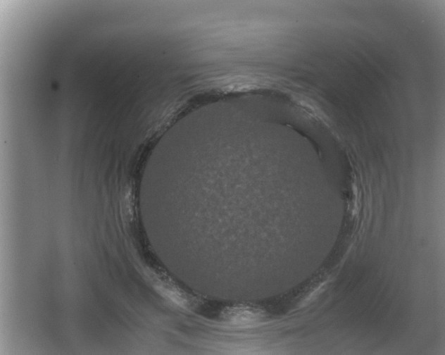 X0000062830597200601171421