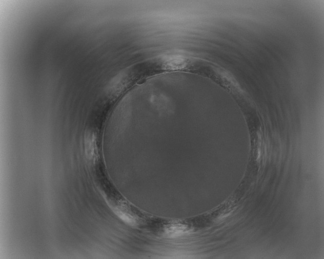 X0000062830598200601171421