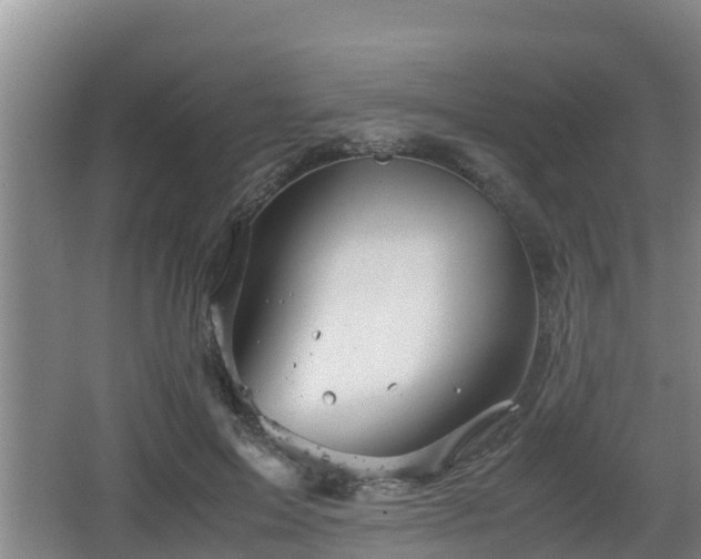 X0000062830599200601171421