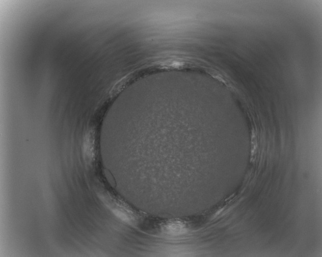 X0000062830600200601171421