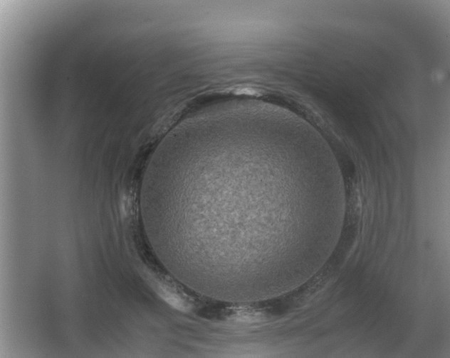 X0000062830601200601171421