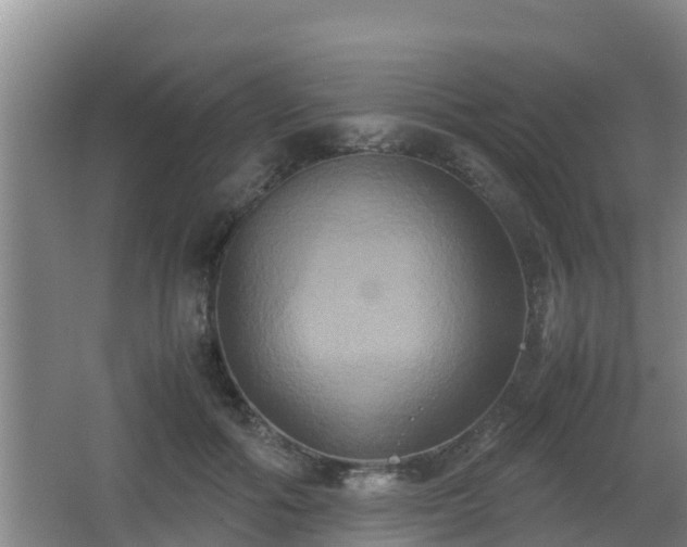 X0000062830602200601171421