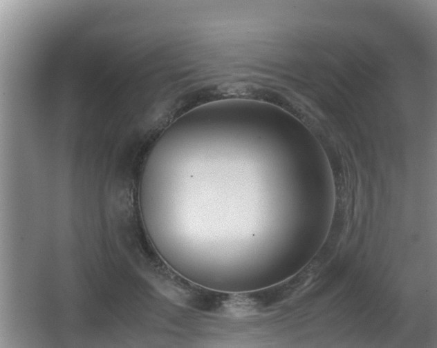 X0000062830603200601171421