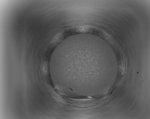 X0000062830605200601171421