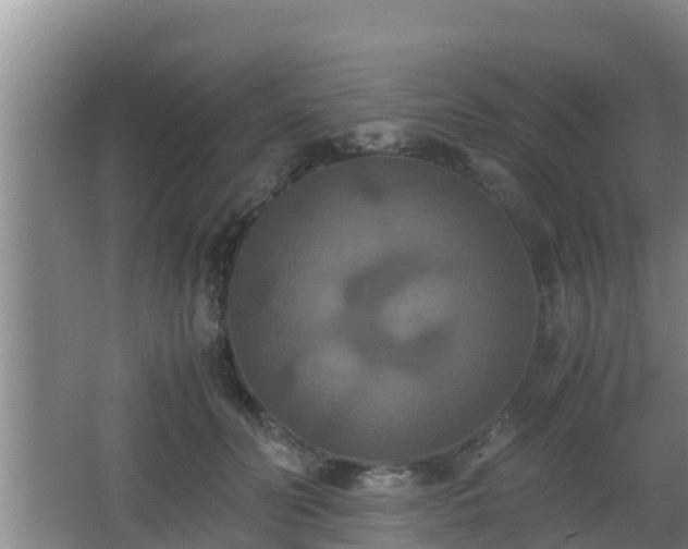 X0000062830606200601171421