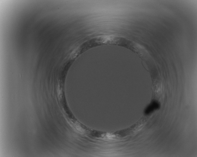 X0000062830607200601171421