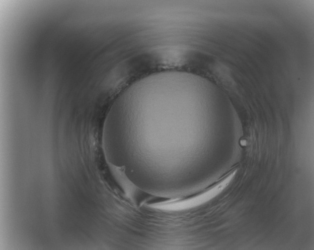 X0000062830608200601171421