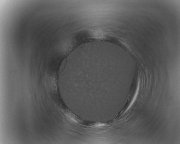 X0000062830609200601171421