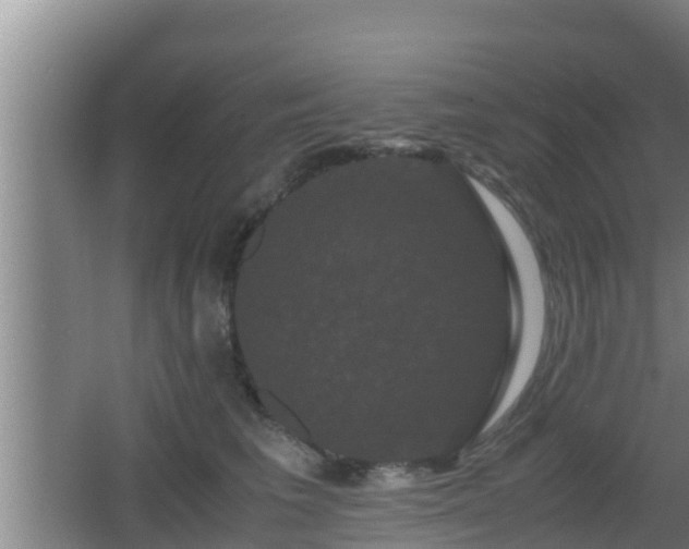 X0000062830613200601171421