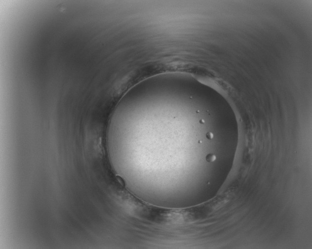 X0000062830615200601171421