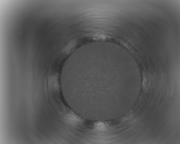 X0000062830616200601171421