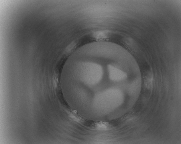 X0000062830618200601171421