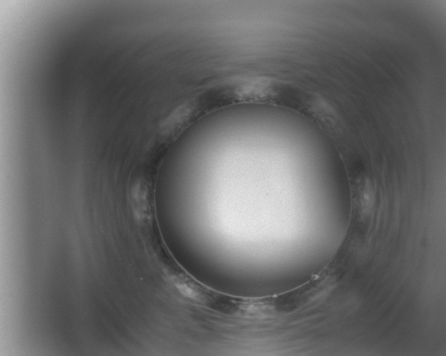 X0000062830619200601171421