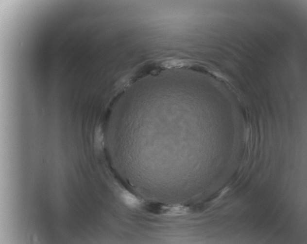 X0000062830621200601171421