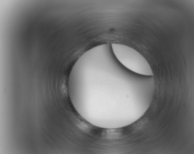 X0000062830622200601171421