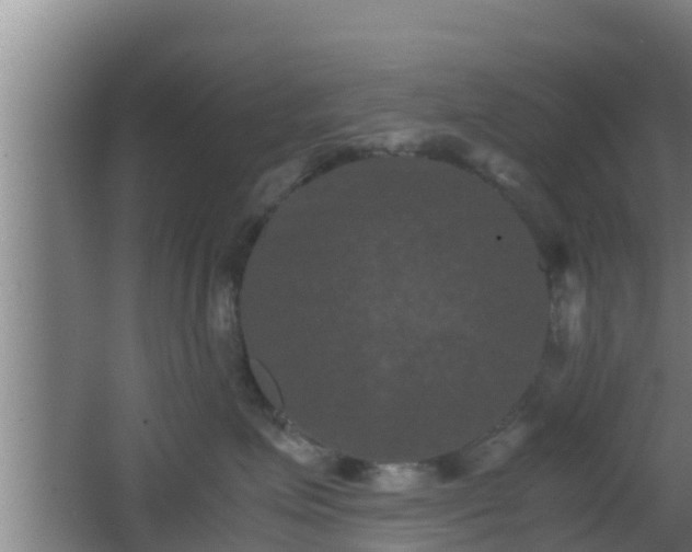 X0000062830623200601171421