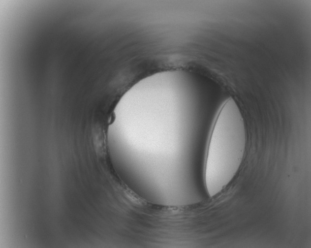 X0000062830624200601171421