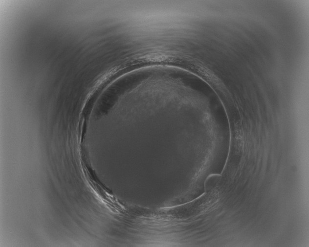 X0000062830626200601171420