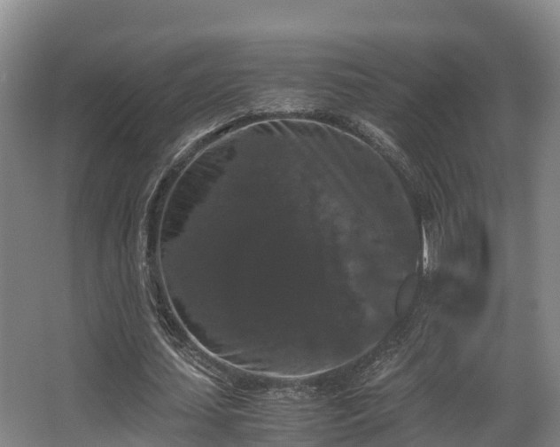 X0000062830627200601171420