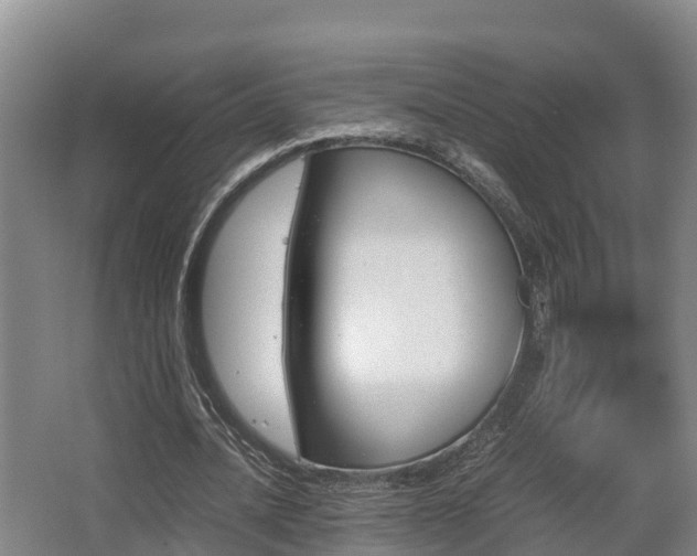 X0000062830628200601171420